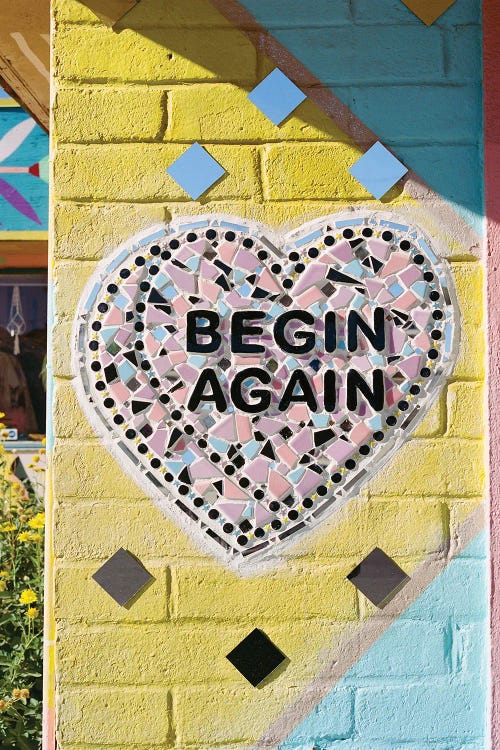 Joshua Tree California On Film