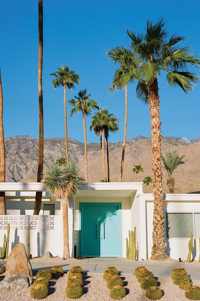 Palm Springs Architecture VII On Film