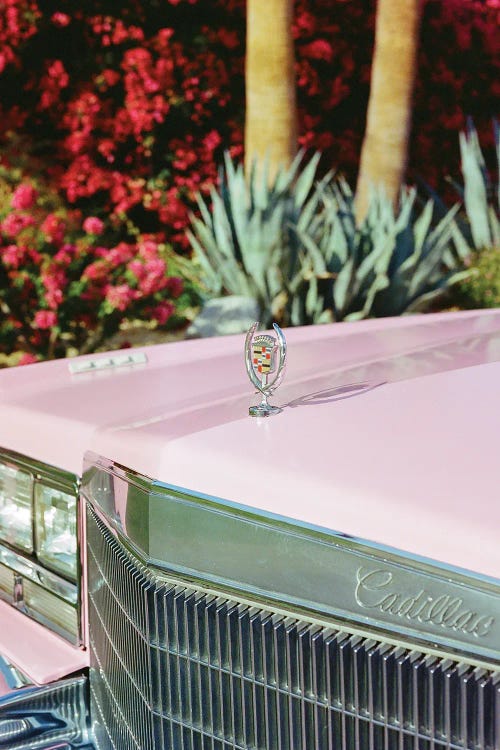 Palm Springs Ride III On Film