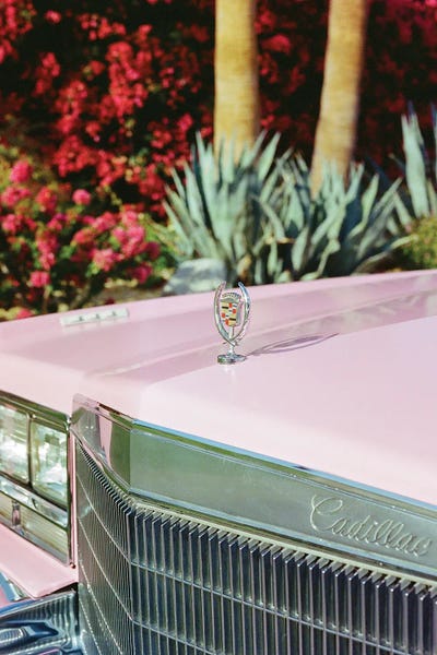 Palm Springs Ride III On Film