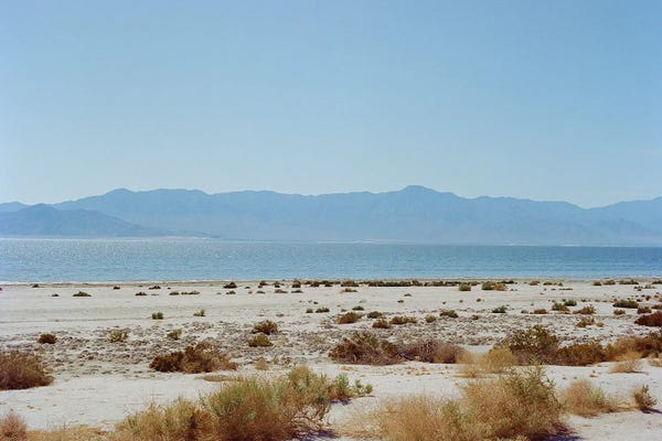 Bombay Beach Spring On Film