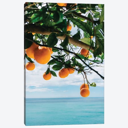 Amalfi Coast Oranges IV Canvas Print #BTY241} by Bethany Young Canvas Print