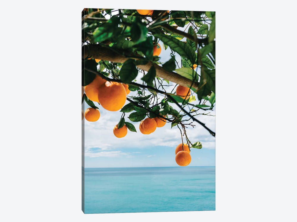 Amalfi Coast Oranges IV by Bethany Young 1-piece Canvas Wall Art
