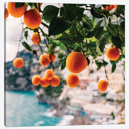 Amalfi Coast Oranges I Canvas Print #BTY242} by Bethany Young Canvas Print