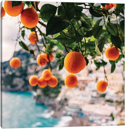 Amalfi Coast Oranges I Canvas Art Print - Orange Art