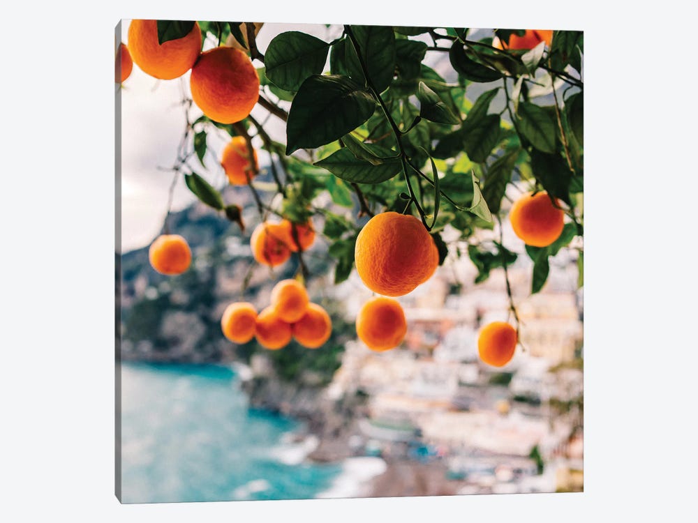 Amalfi Coast Oranges I by Bethany Young 1-piece Art Print