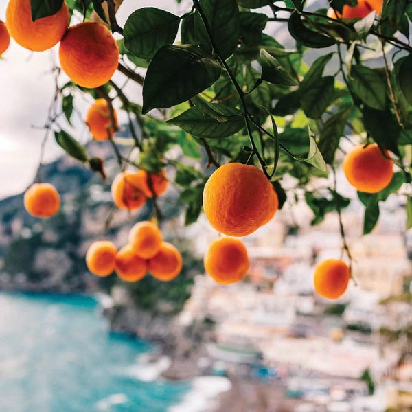 Campania: Amalfi Coast Oranges I by Bethany Young