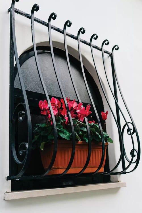 Positano Blooms III