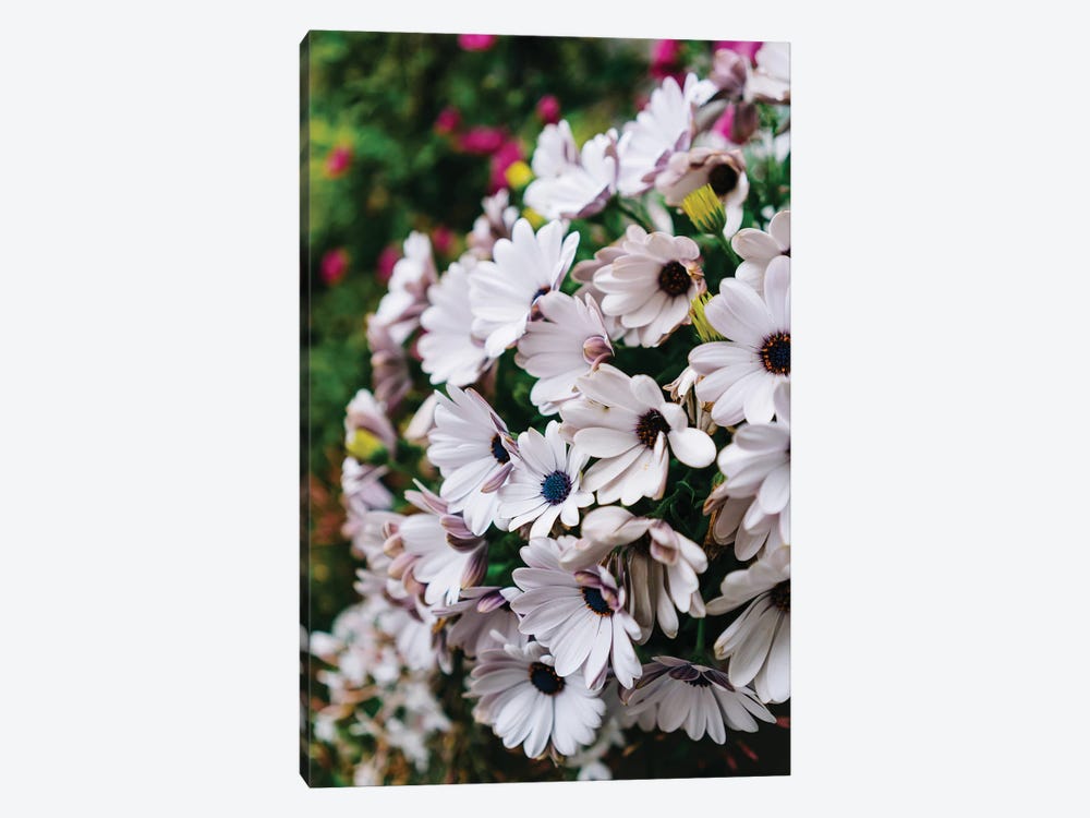 Positano Blooms V by Bethany Young 1-piece Canvas Art
