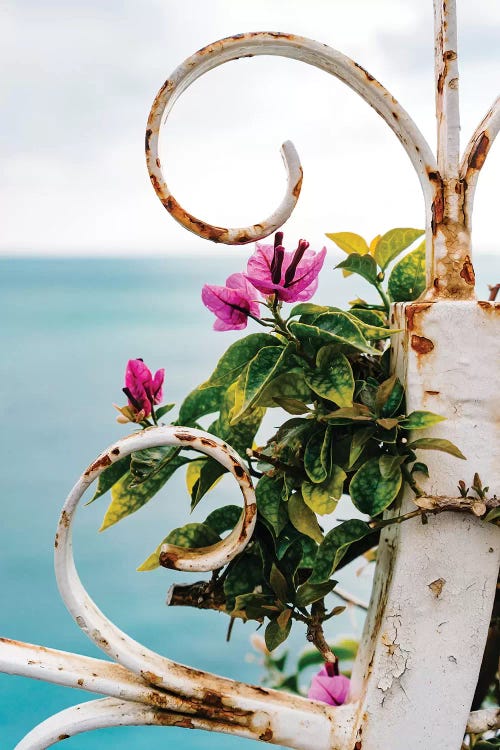 Positano Blooms X by Bethany Young wall art
