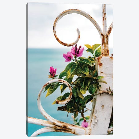 Positano Blooms X Canvas Print #BTY276} by Bethany Young Canvas Print