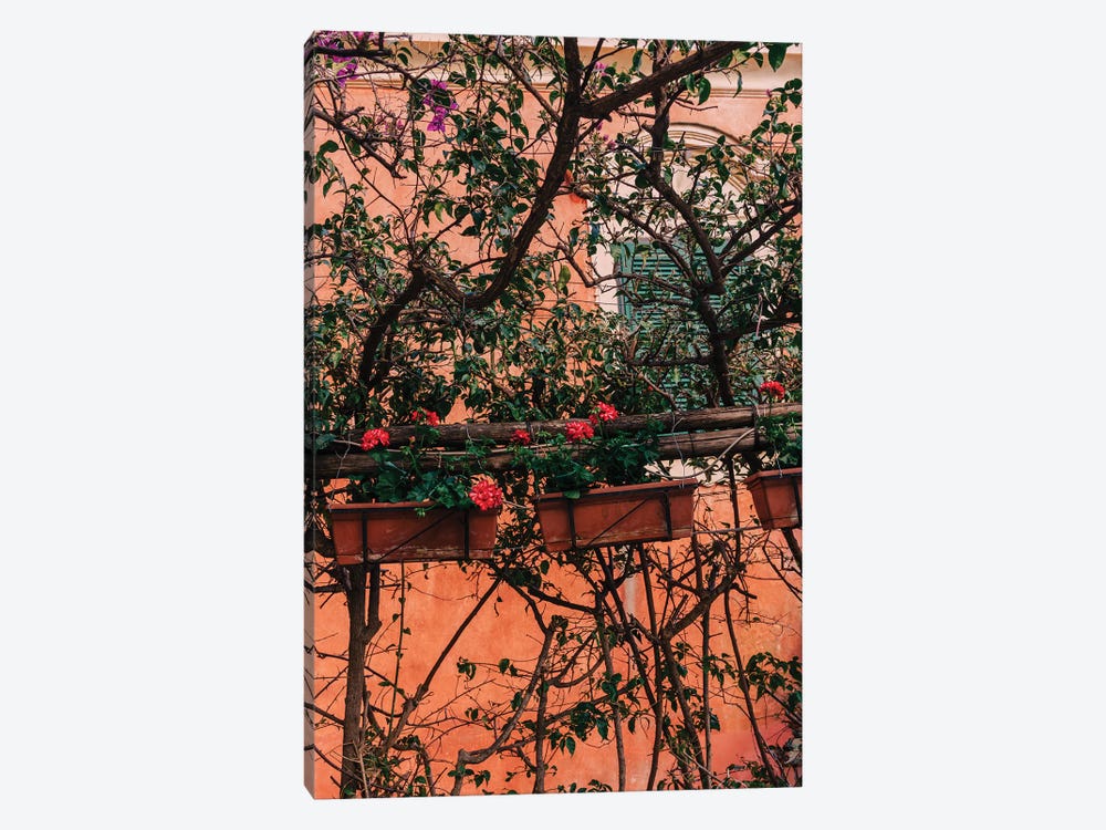 Positano Blooms XI by Bethany Young 1-piece Canvas Print