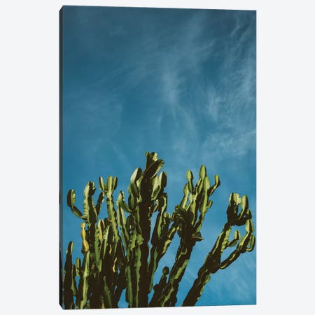 Cactus Sky Canvas Print #BTY27} by Bethany Young Art Print