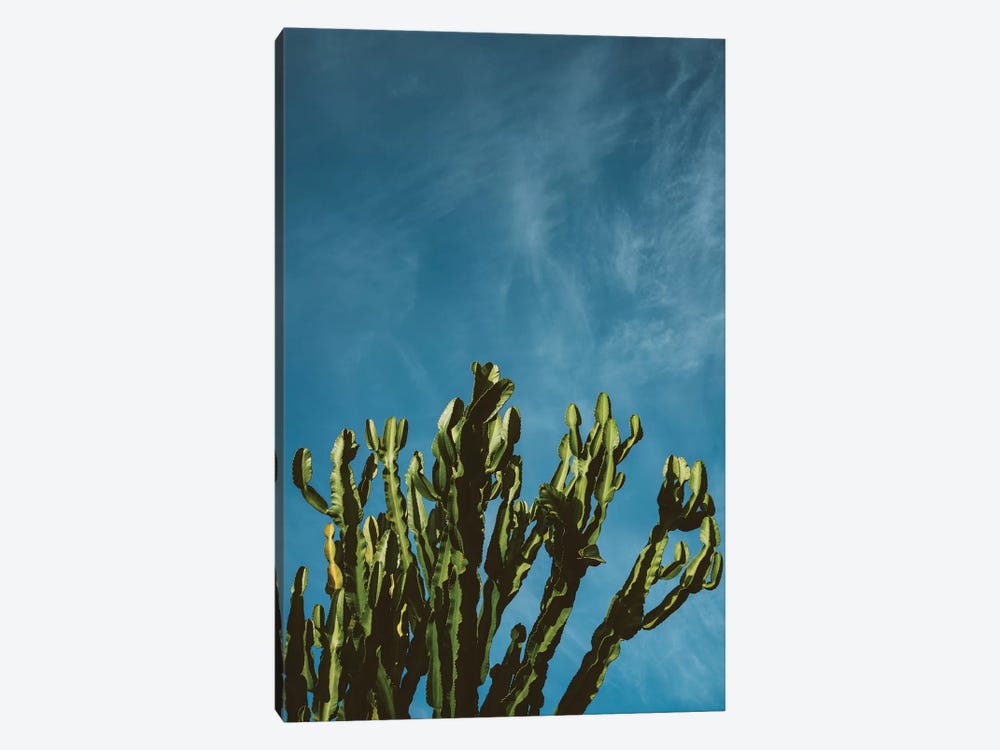 Cactus Sky by Bethany Young 1-piece Canvas Artwork