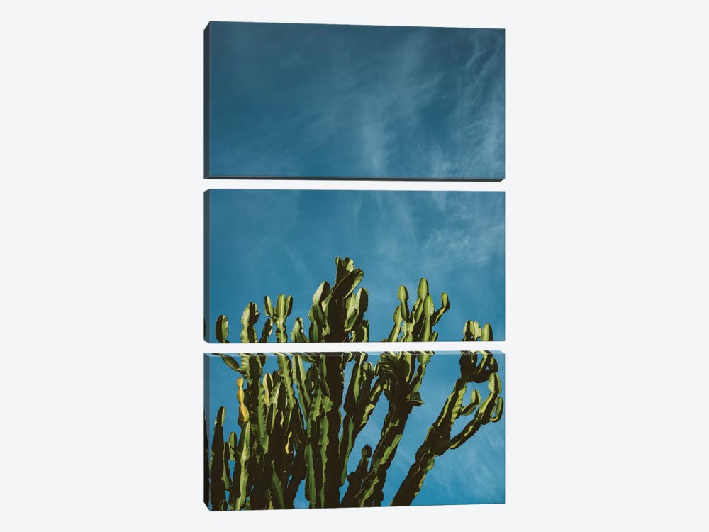 Cactus Sky by Bethany Young 3-piece Canvas Art