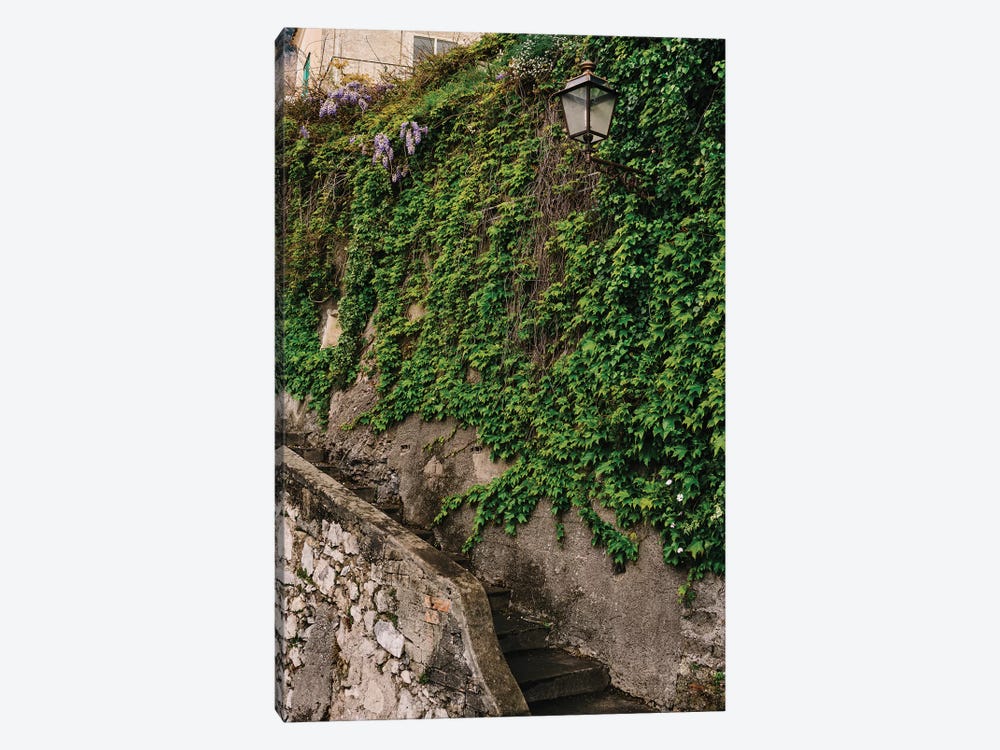 Positano V by Bethany Young 1-piece Art Print