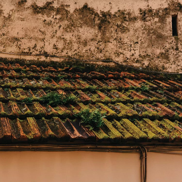 Positano VI by Bethany Young wall art