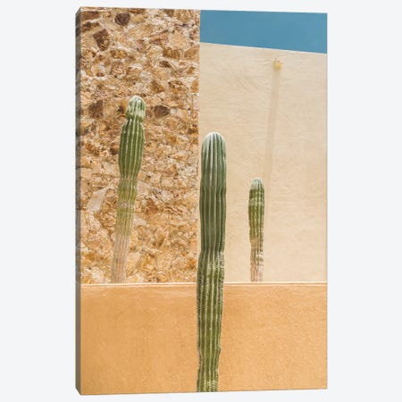 Abstract Cactus Canvas Print #BTY370} by Bethany Young Art Print