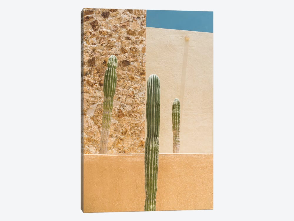 Abstract Cactus by Bethany Young 1-piece Canvas Print