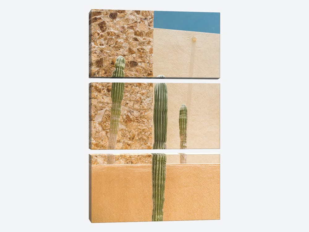 Abstract Cactus by Bethany Young 3-piece Canvas Art Print