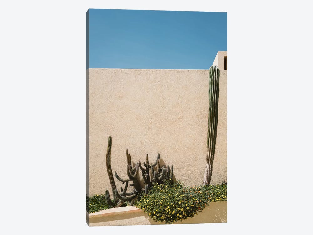 Cabo Architecture IV by Bethany Young 1-piece Art Print