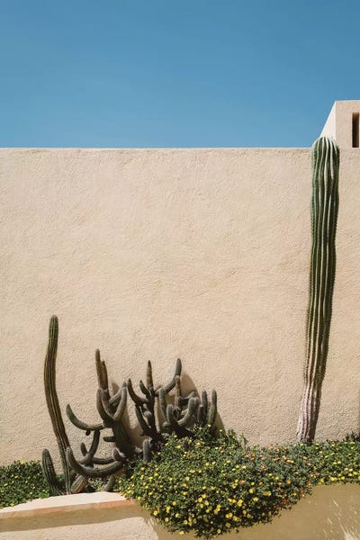 Cabo San Lucas: Cabo Architecture IV by Bethany Young