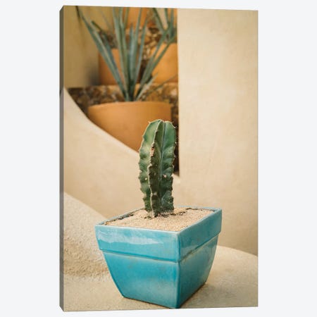 Cabo Cactus V Canvas Print #BTY380} by Bethany Young Canvas Wall Art