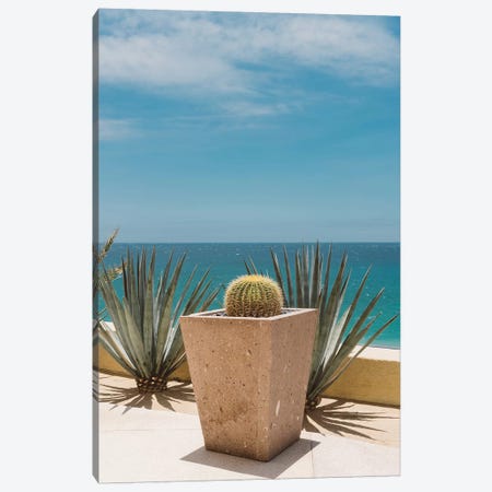 Cabo Cactus Canvas Print #BTY383} by Bethany Young Canvas Artwork
