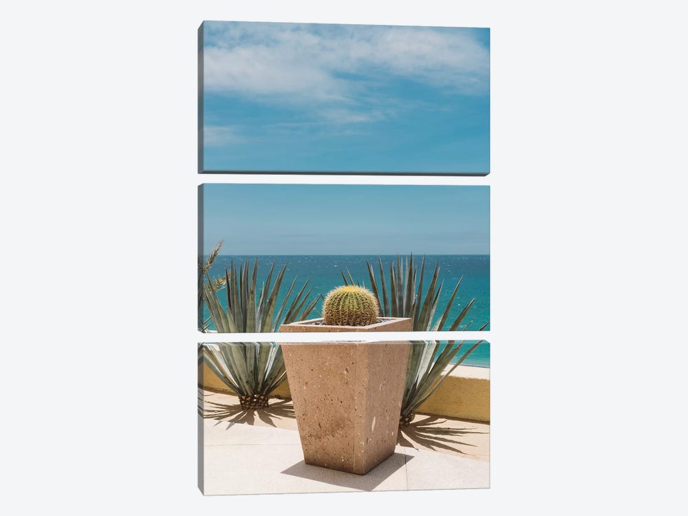 Cabo Cactus by Bethany Young 3-piece Art Print