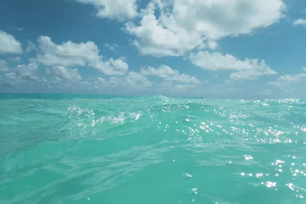 Hawaii: Hawaii Water by Bethany Young