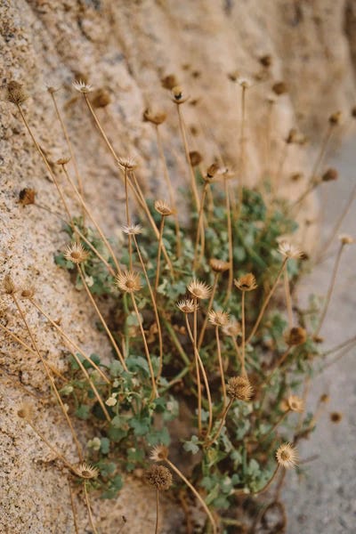 Mexico: Mexico Mountainside by Bethany Young