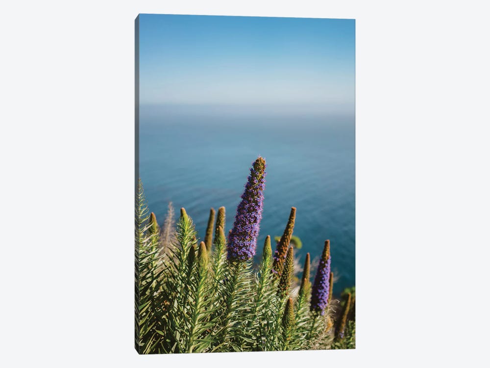 Big Sur Blooms II by Bethany Young 1-piece Canvas Print