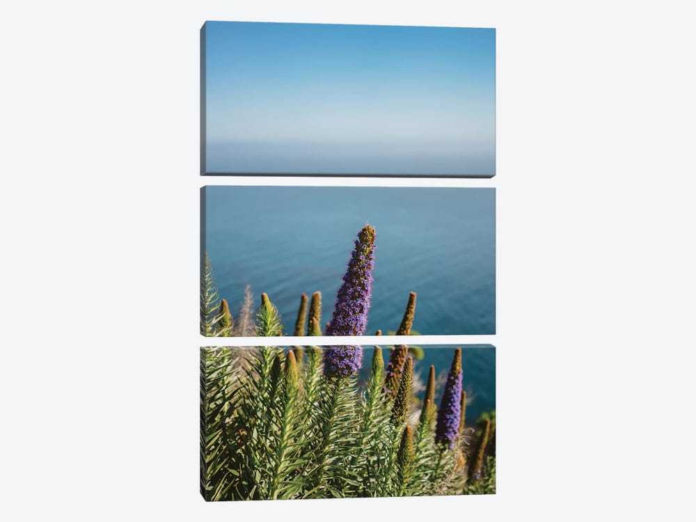Big Sur Blooms II by Bethany Young 3-piece Canvas Print