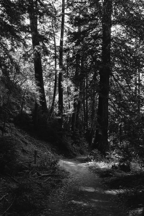 Big Sur Hike