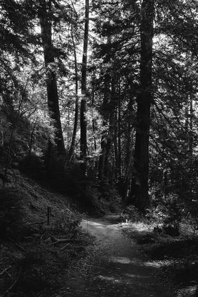 Big Sur: Big Sur Hike by Bethany Young