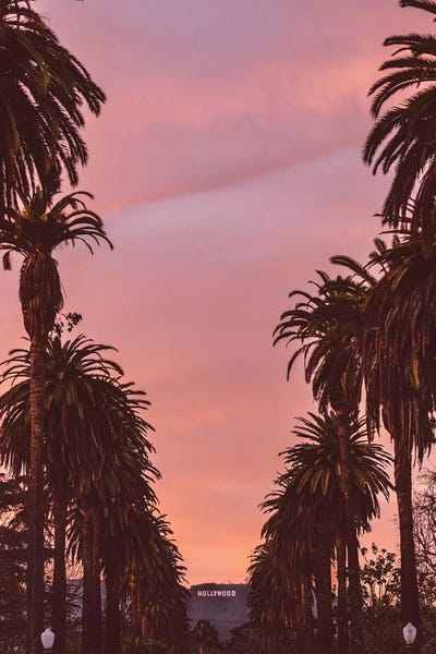 Mountain Sunrises & Sunsets: Hollywood by Bethany Young