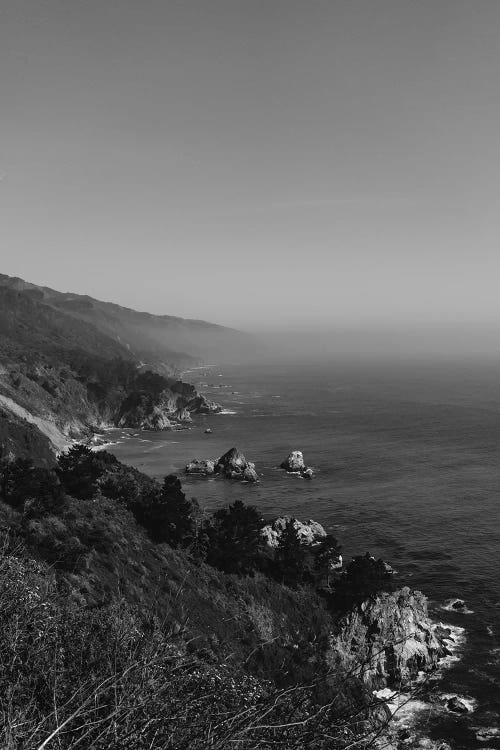 Big Sur III by Bethany Young wall art