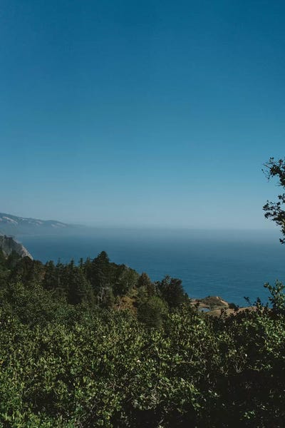 Nepenthe View by Bethany Young canvas print