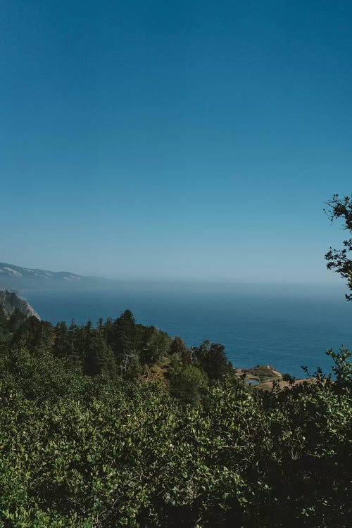 Nepenthe View by Bethany Young wall art