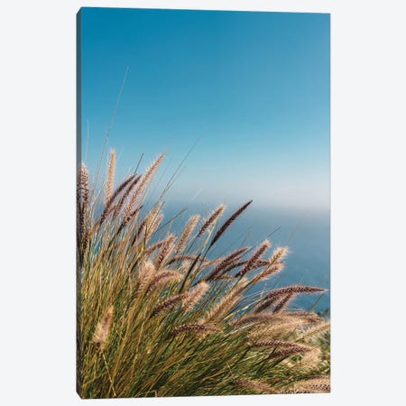 Wild Big Sur II Canvas Print #BTY436} by Bethany Young Canvas Print