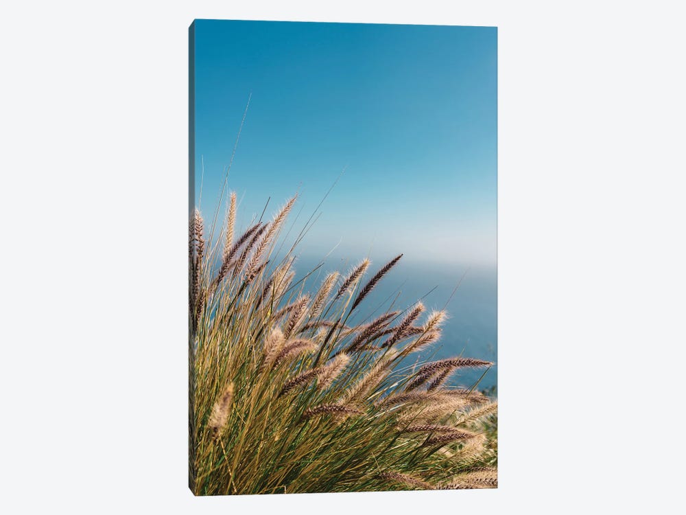 Wild Big Sur II by Bethany Young 1-piece Canvas Wall Art
