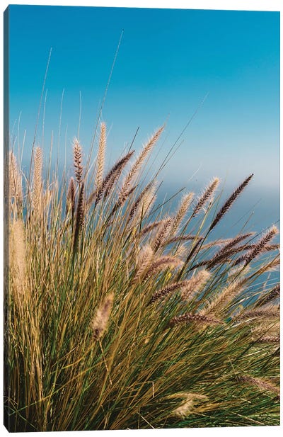 Wild Big Sur Canvas Art Print - Bethany Young