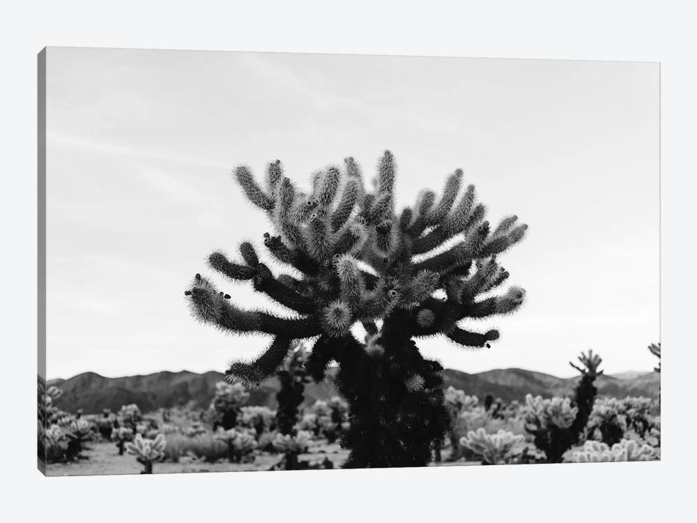 Cholla Cactus Garden XI by Bethany Young 1-piece Art Print