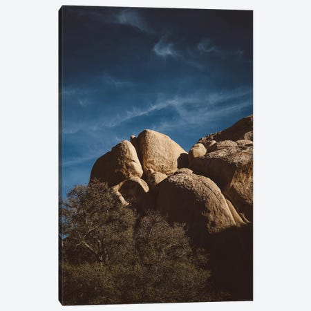 Joshua Tree National Park XIII Canvas Print #BTY454} by Bethany Young Art Print