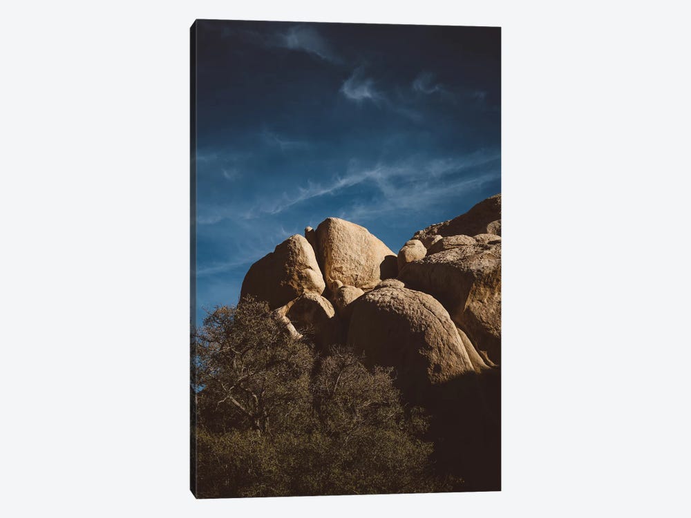 Joshua Tree National Park XIII by Bethany Young 1-piece Canvas Wall Art