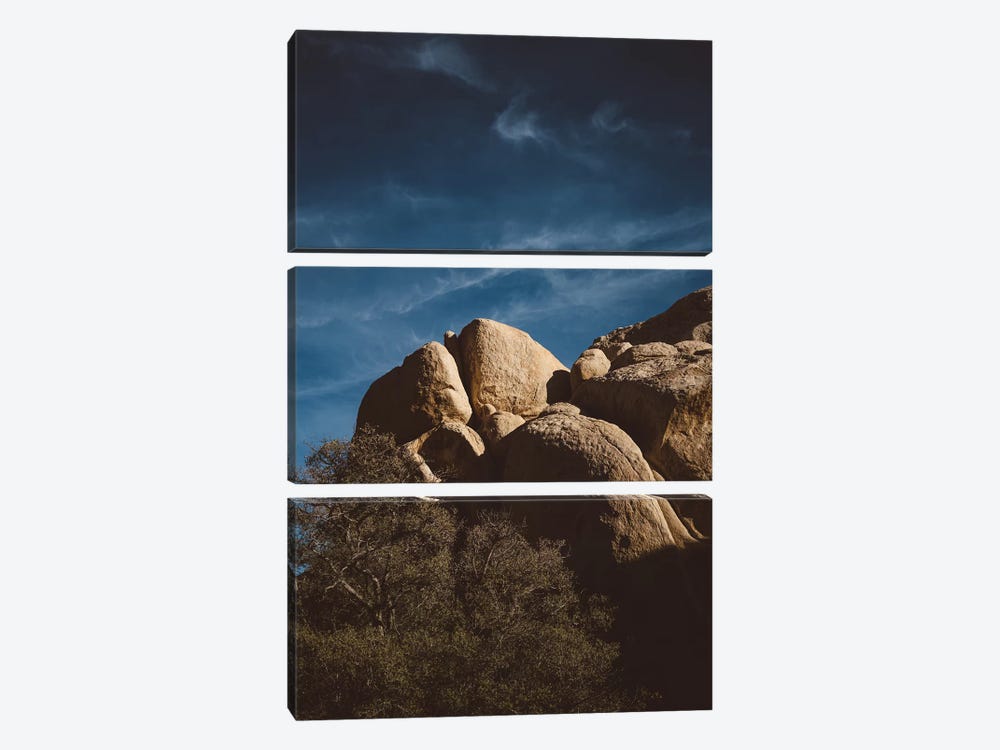 Joshua Tree National Park XIII by Bethany Young 3-piece Canvas Art