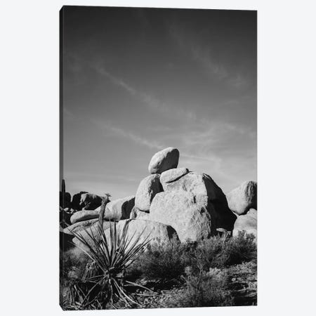 Joshua Tree National Park XIV Canvas Print #BTY455} by Bethany Young Canvas Print