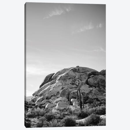 Joshua Tree National Park XV Canvas Print #BTY457} by Bethany Young Canvas Print