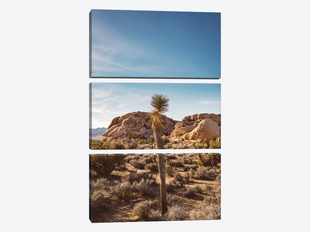 Joshua Tree National Park XVII by Bethany Young 3-piece Canvas Artwork