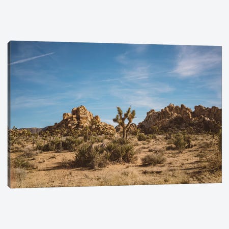 Joshua Tree National Park XXIII Canvas Print #BTY461} by Bethany Young Canvas Art Print